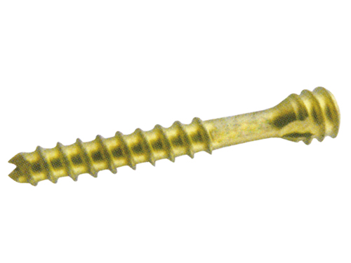 Cannulated Screw (Cortical)