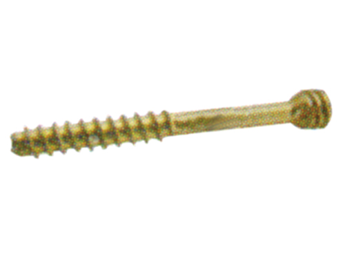 Cannulated Screw (Cortical)