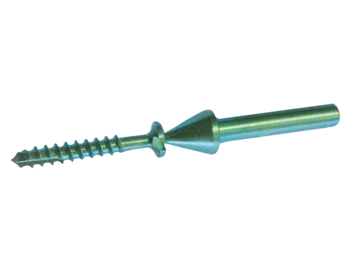 Cannulated Screw (Cancellous)