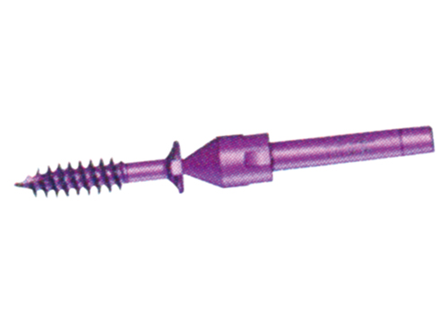 Cannulated Screw (Cancellous)