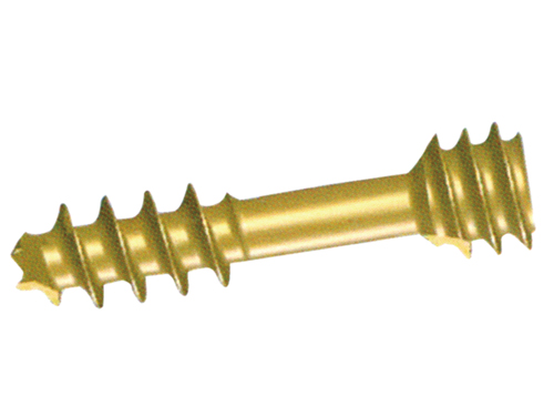 Cannulated Screw (Cancellous)