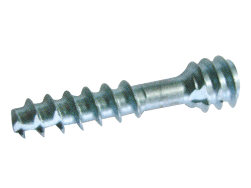 Cannulated Screw (Cortical)